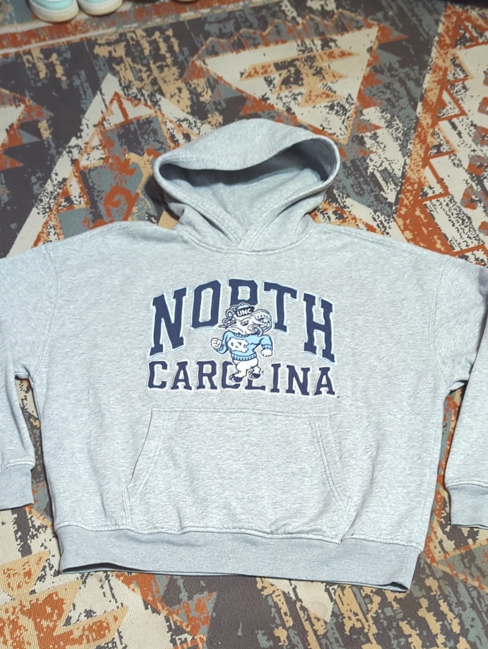 vintage Hollister Boxy University of North Carolina gray hoodie